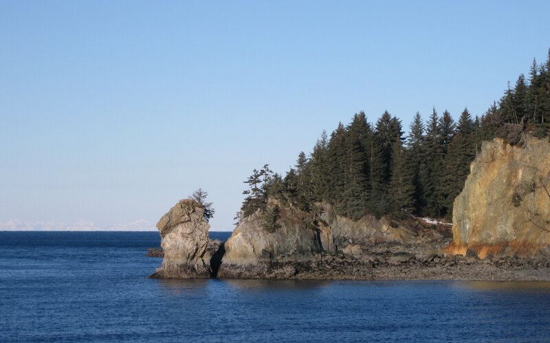 coastal rocks and forest