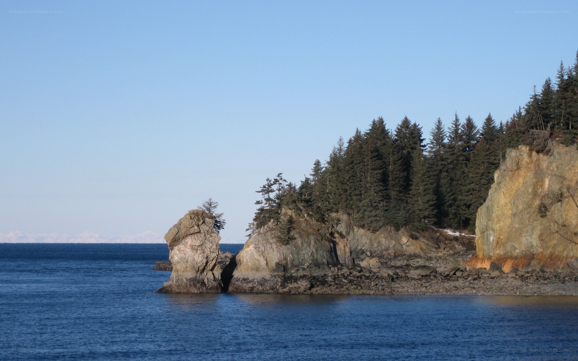 coastal rocks and forest