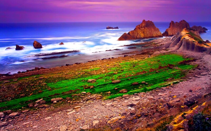Coastal Rocks and Green Algae — Purple