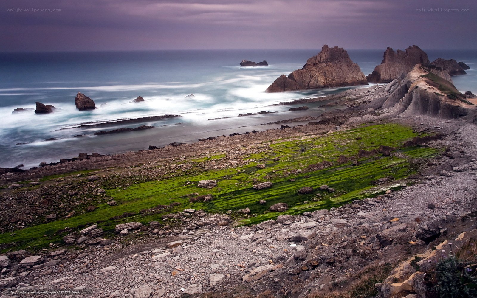 Coastal rocks and green algae