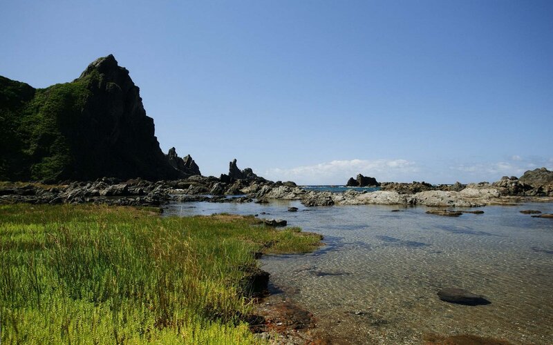 coastal rocks and green grass