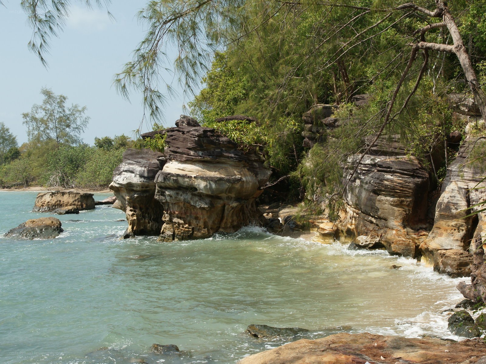 coastal rocks and green trees