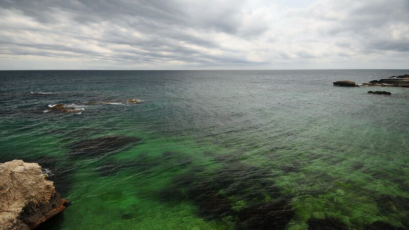 coastal rocks and green water