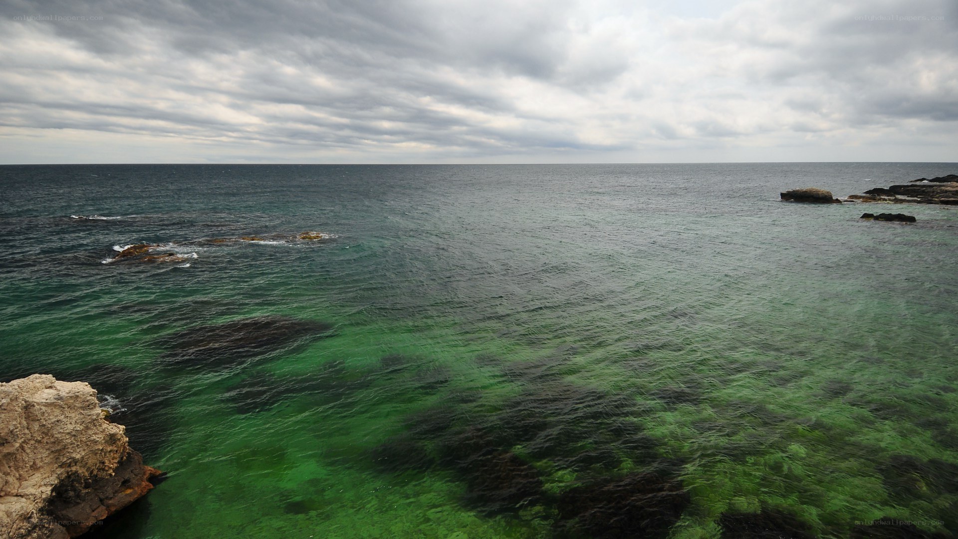 coastal rocks and green water