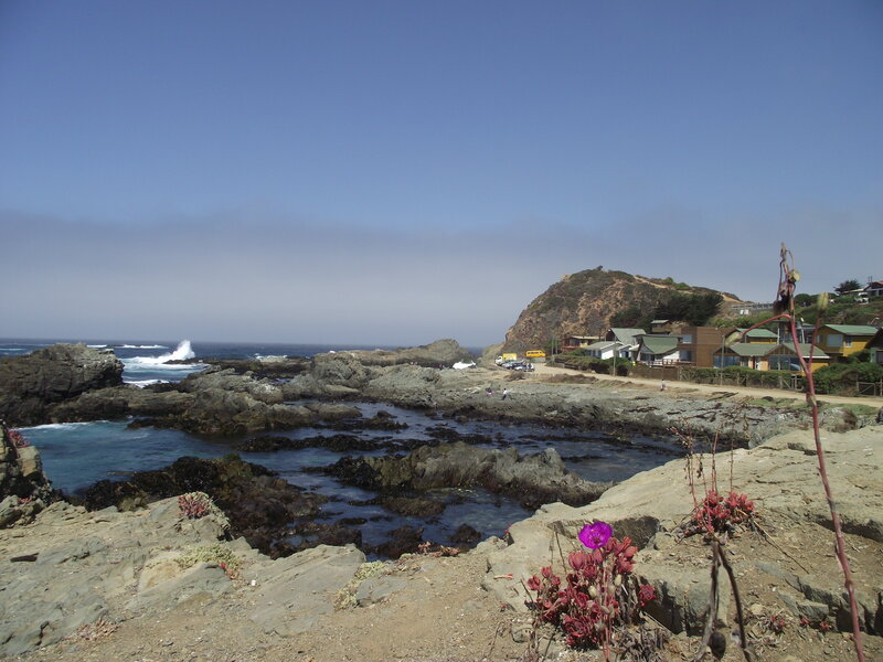 Coastal Rocks and Houses