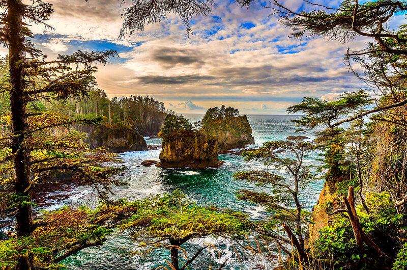 Coastal Rocks and Ocean — Blue, Dramatic, Afternoon, Photograph, Trees