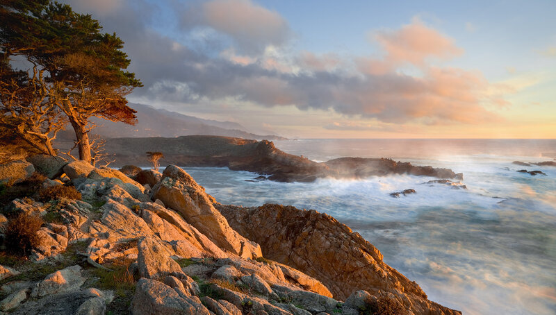 Coastal Rocks and Ocean — Blue, Dramatic, Sunset, Photograph, Tree