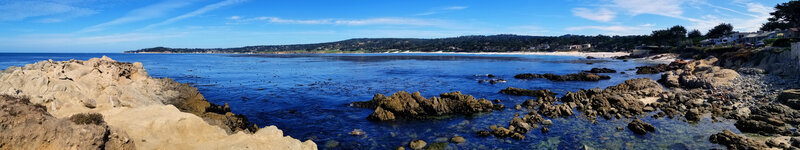 Coastal Rocks and Ocean — Blue, Serene, Afternoon, Photograph, Beach, Trees