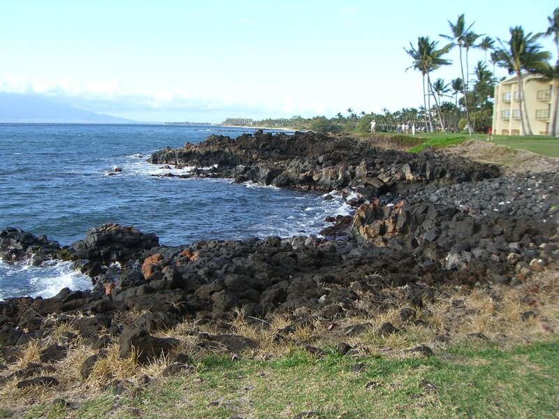 Coastal Rocks and Ocean — Blue, Serene, Afternoon, Photograph, Palm Trees, Building