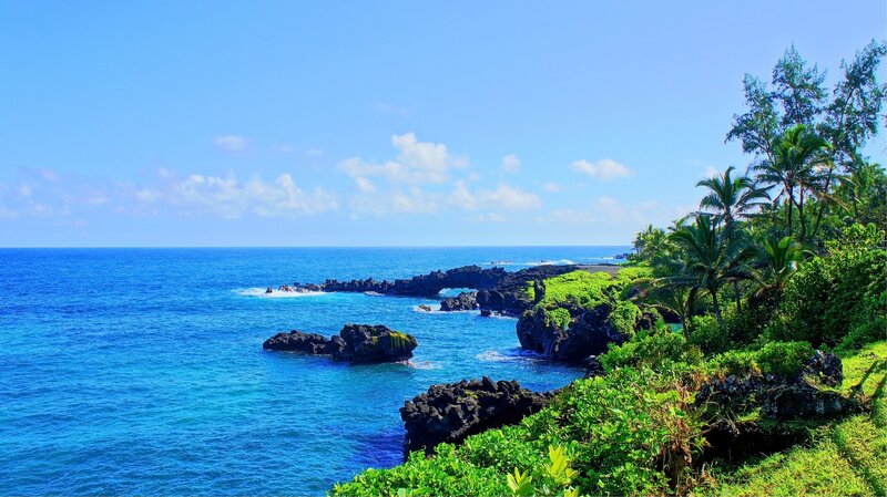 Coastal Rocks and Ocean — Blue, Serene, Afternoon, Photograph, Palm Trees