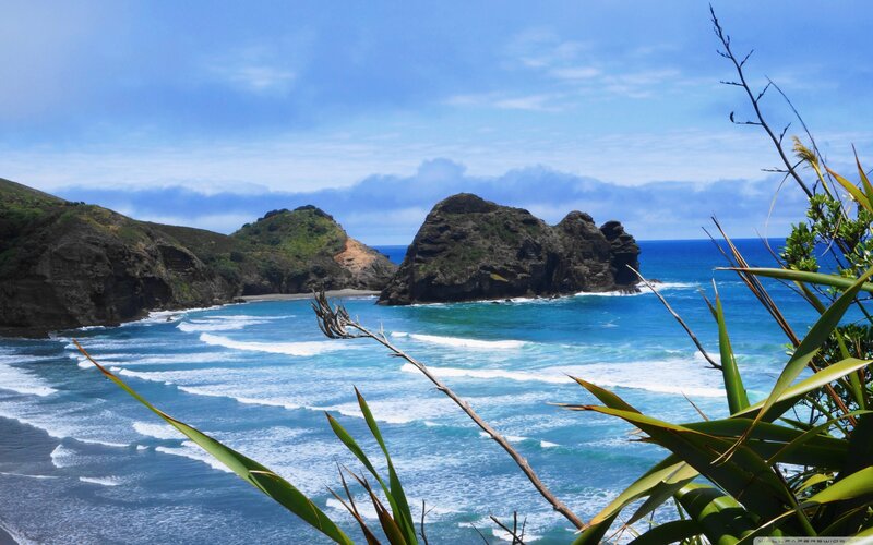 Coastal Rocks and Ocean — Blue, Serene, Afternoon, Photograph, Plants, Sky