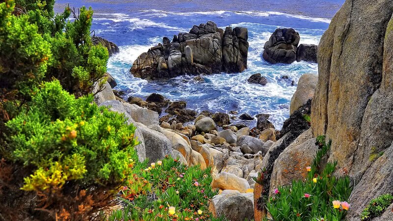 Coastal Rocks and Ocean — Blue, Serene, Afternoon, Photograph, Plants
