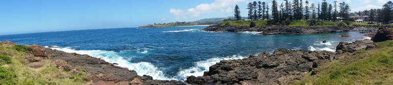 Coastal Rocks and Ocean — Blue, Serene, Afternoon, Photograph, Trees, Sky