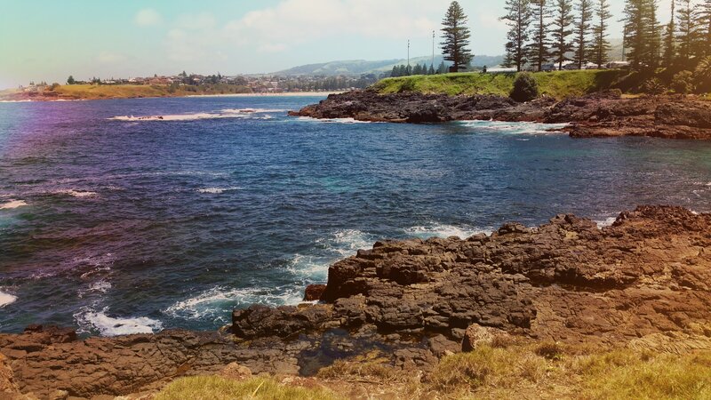 Coastal Rocks and Ocean — Blue, Serene, Afternoon, Photograph, Trees