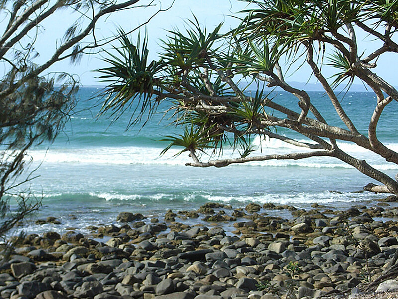 Coastal Rocks and Ocean — Blue, Serene, Afternoon, Photograph, Trees, Waves