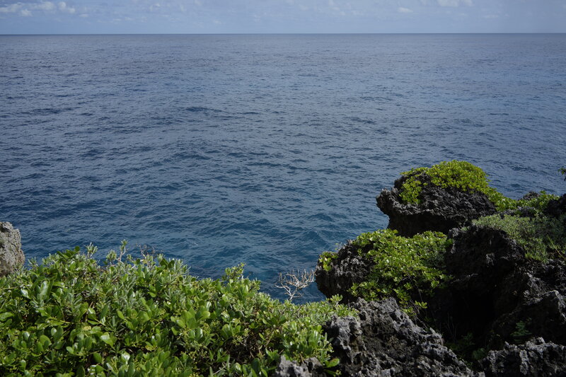 Coastal Rocks and Ocean — Blue, Serene, Afternoon, Photograph, Vegetation