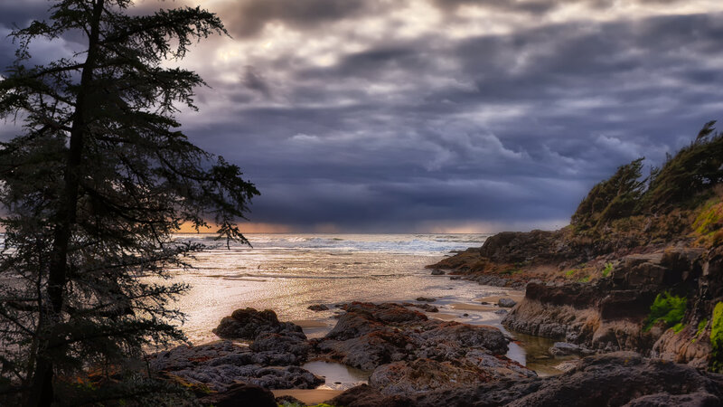 Coastal Rocks and Ocean — Gray