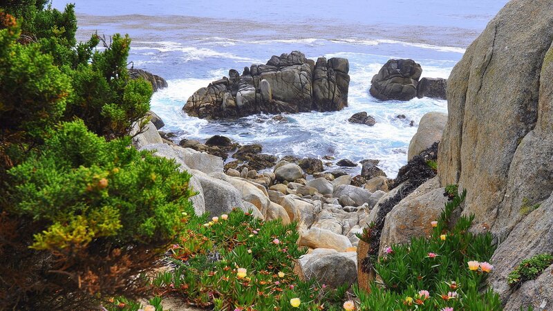 Coastal Rocks and Ocean — Green, Serene
