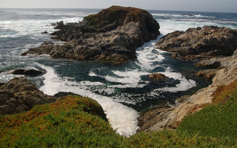 Coastal Rocks and Ocean — Green