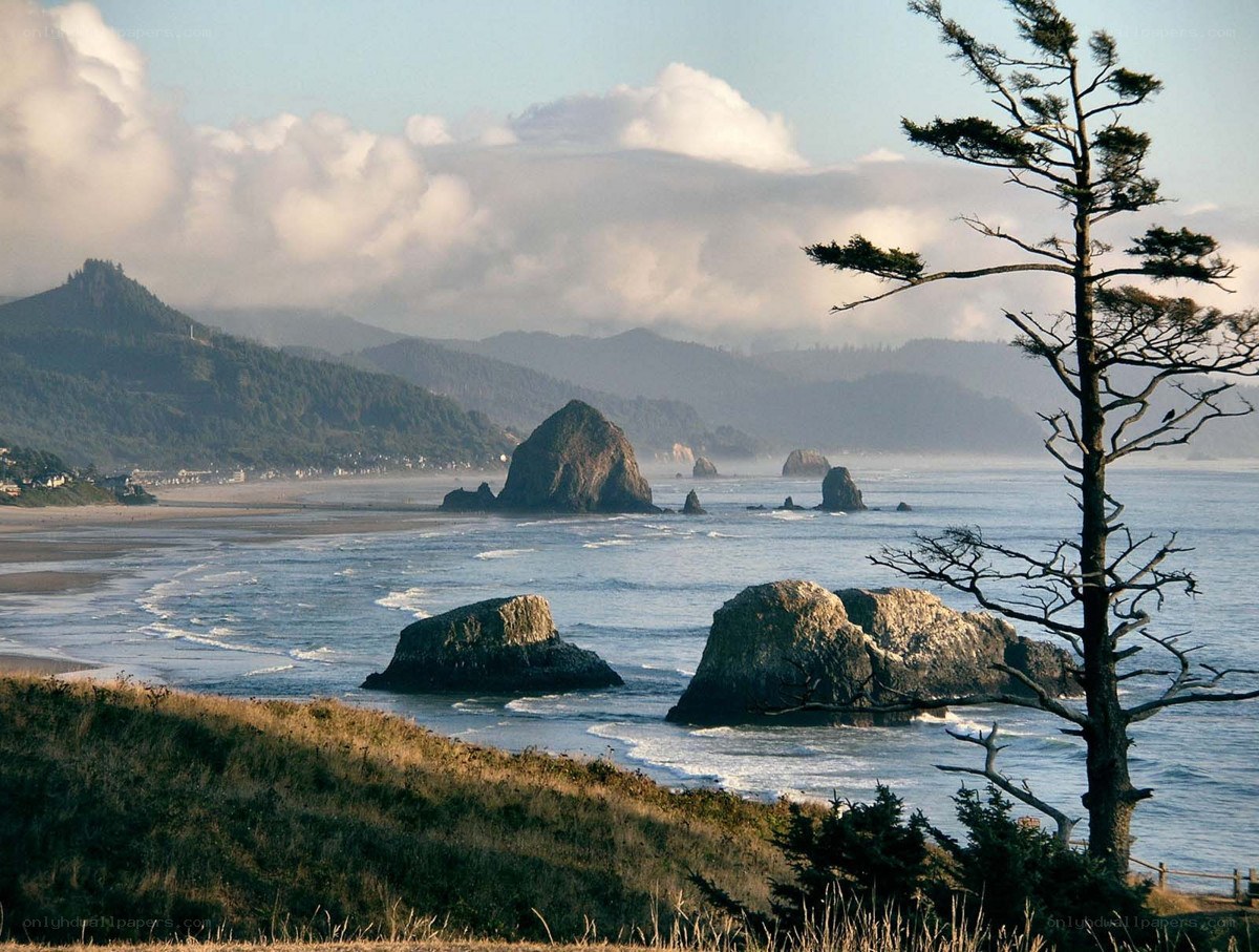 coastal rocks and ocean view