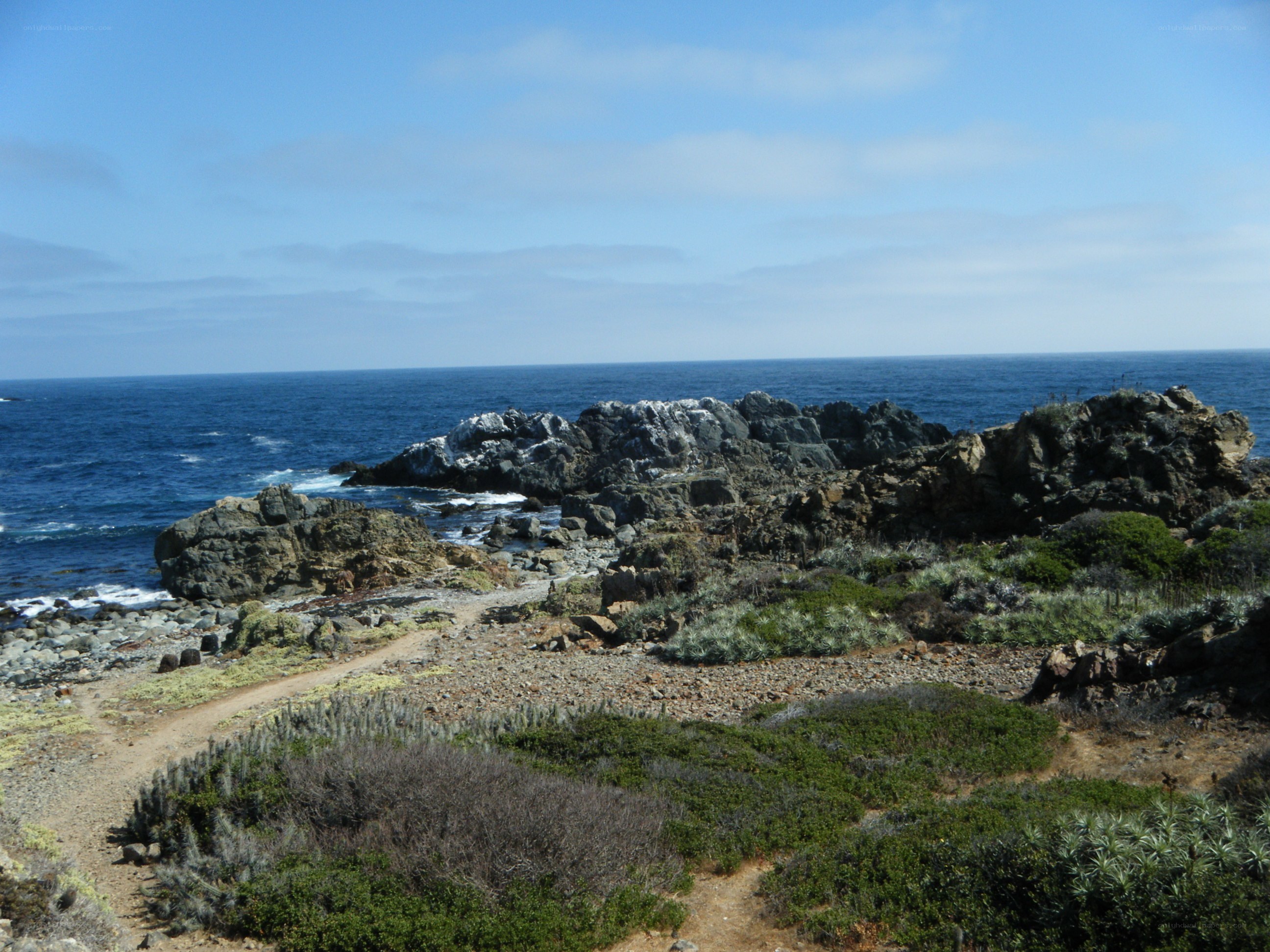 coastal rocks and ocean view