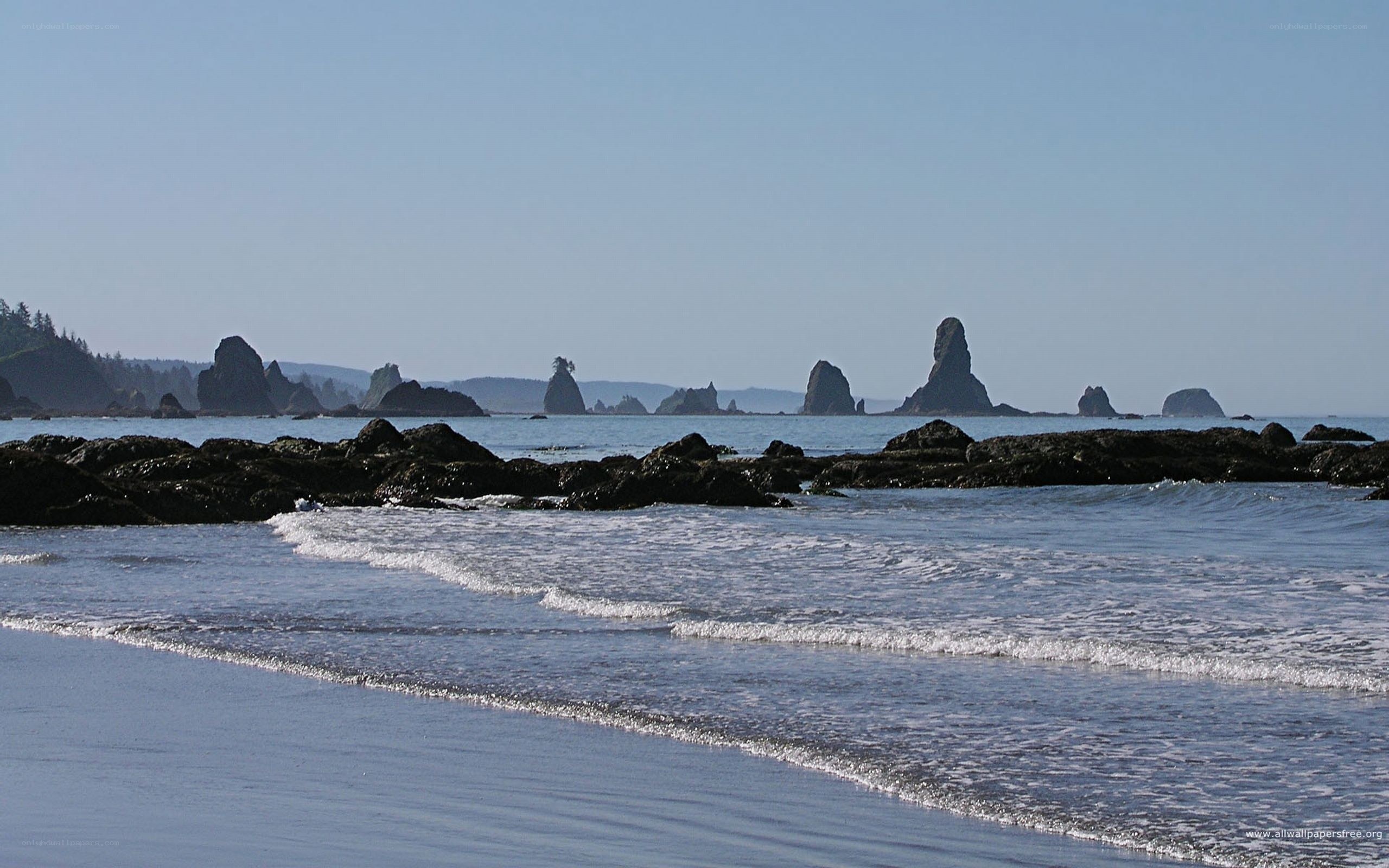 coastal rocks and ocean waves