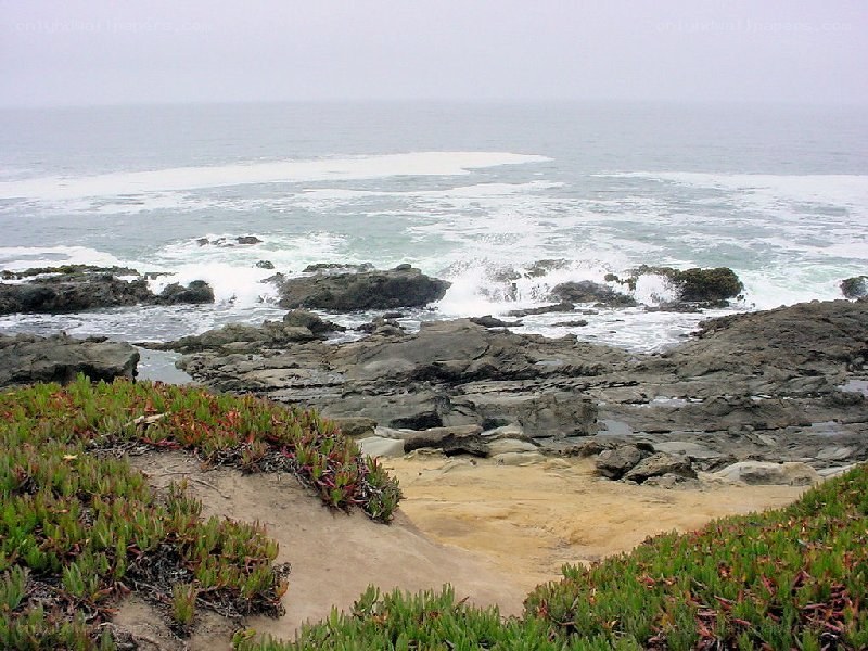 coastal rocks and ocean waves