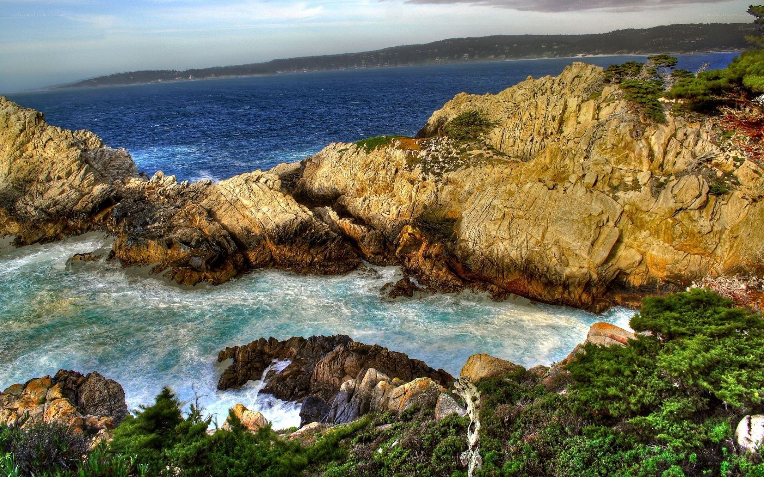 coastal rocks and ocean waves