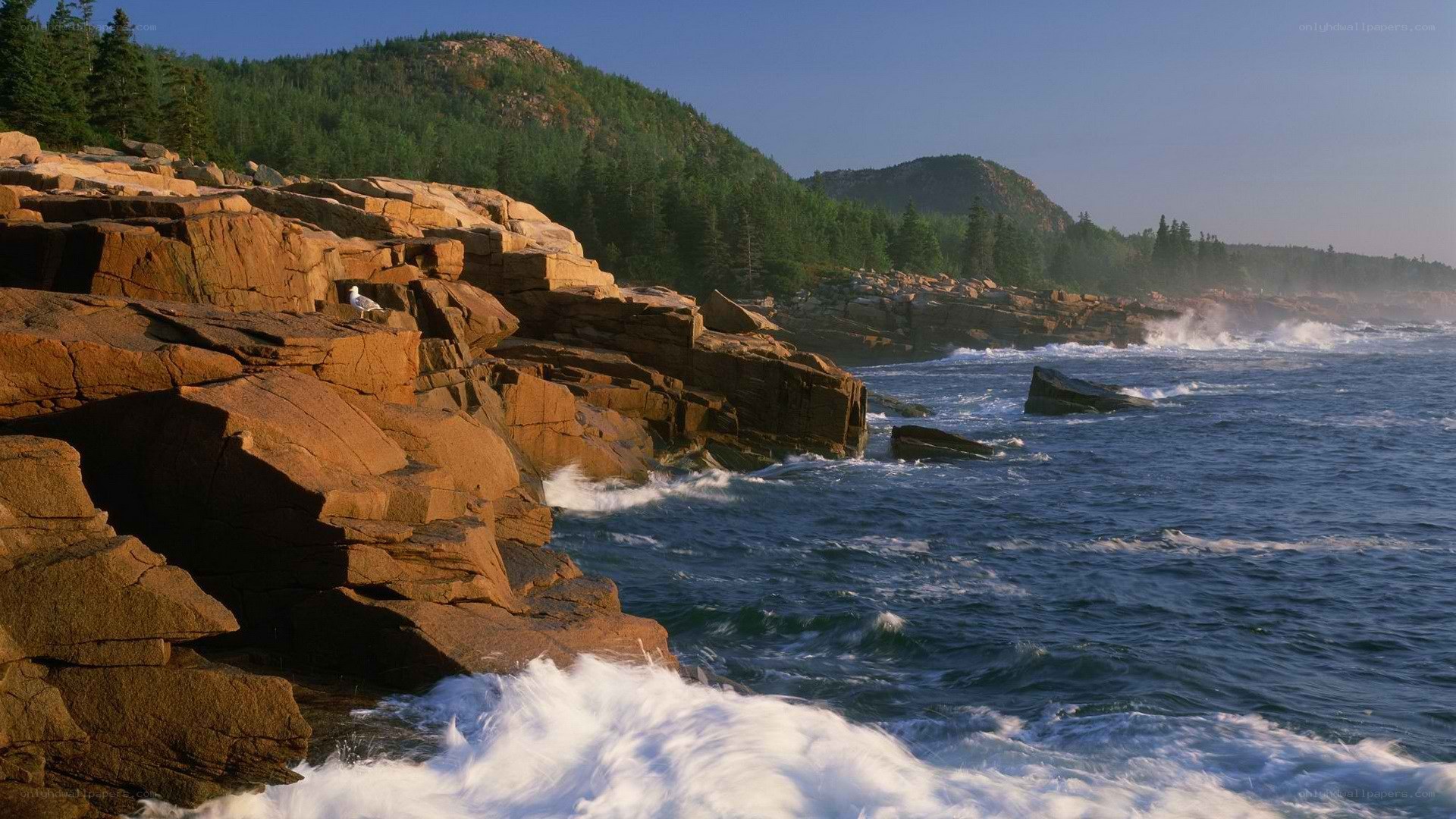 coastal rocks and ocean waves