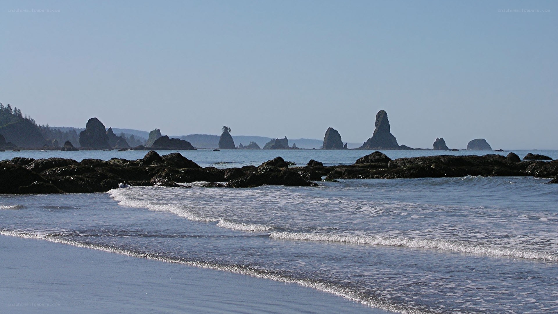 coastal rocks and ocean waves