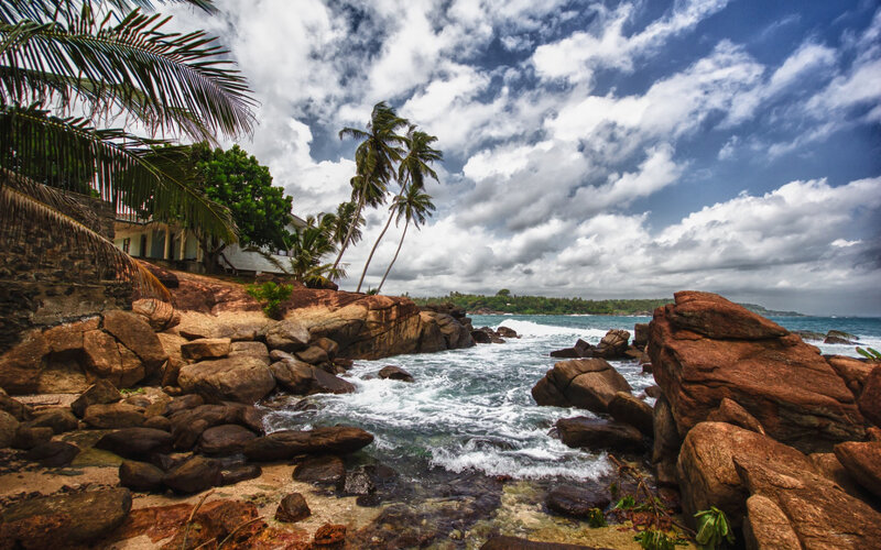 Coastal Rocks and Palm Trees — Blue, Dramatic
