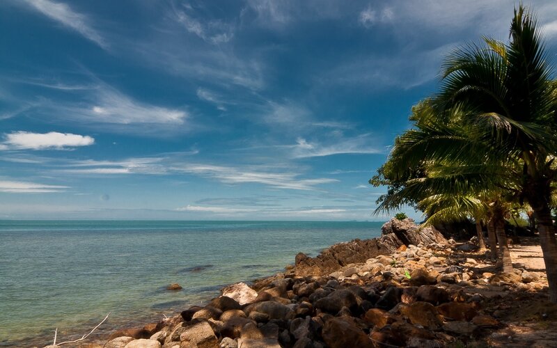 Coastal Rocks and Palm Trees — Blue, Serene, Afternoon, Photograph, Palm Trees