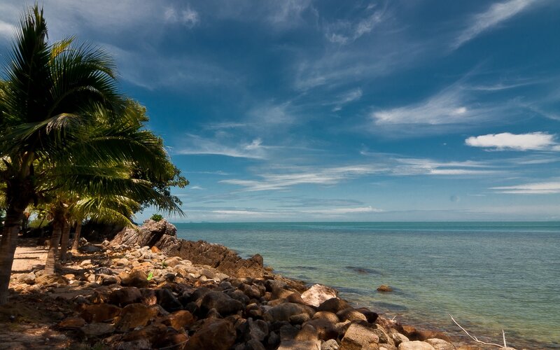 Coastal Rocks and Palm Trees — Blue, Serene