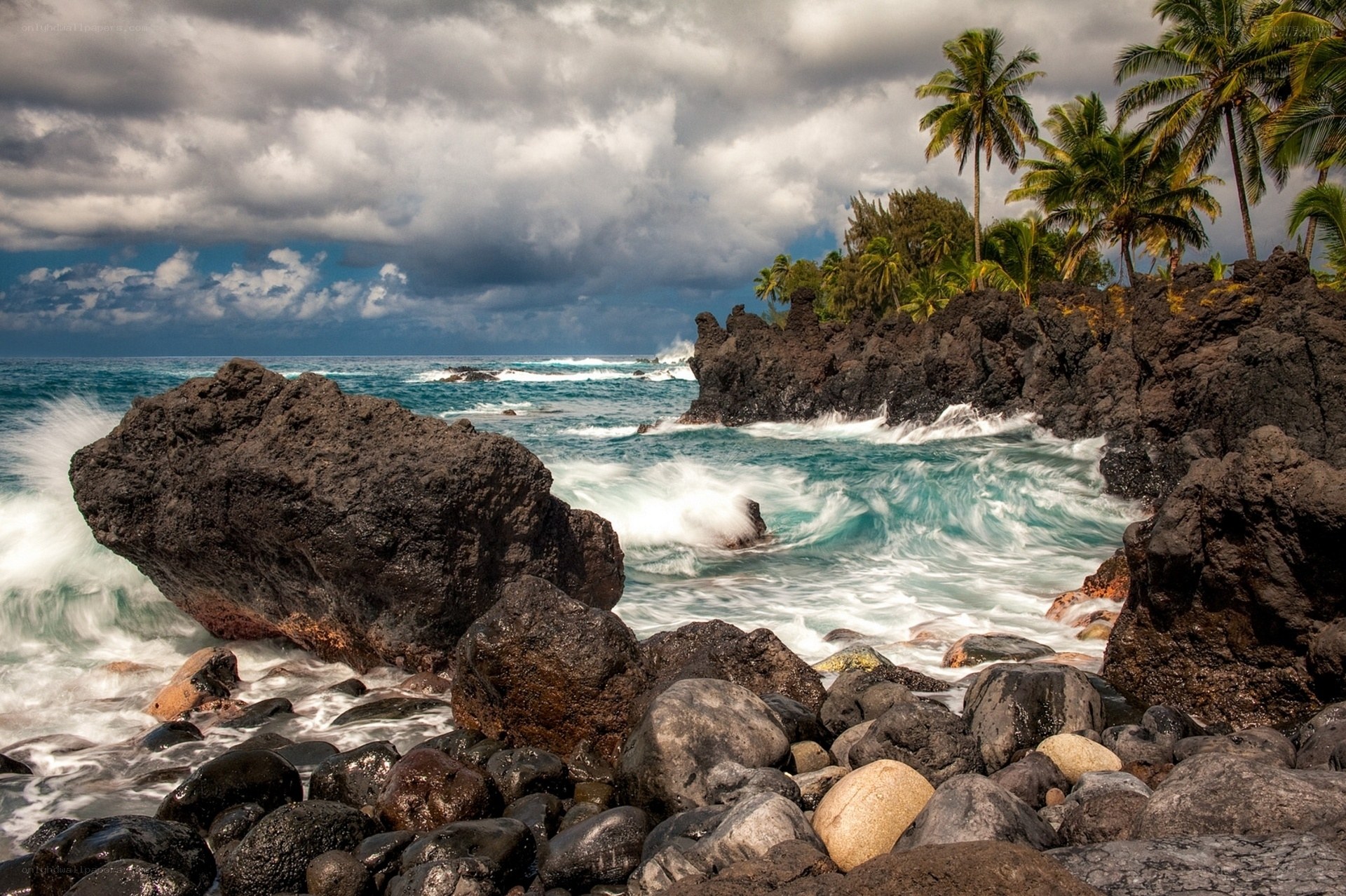 Coastal rocks and palm trees