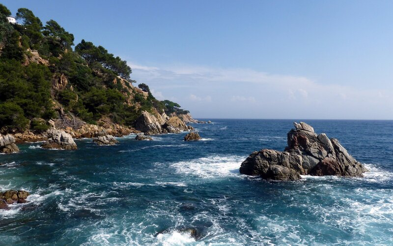coastal rocks and sea