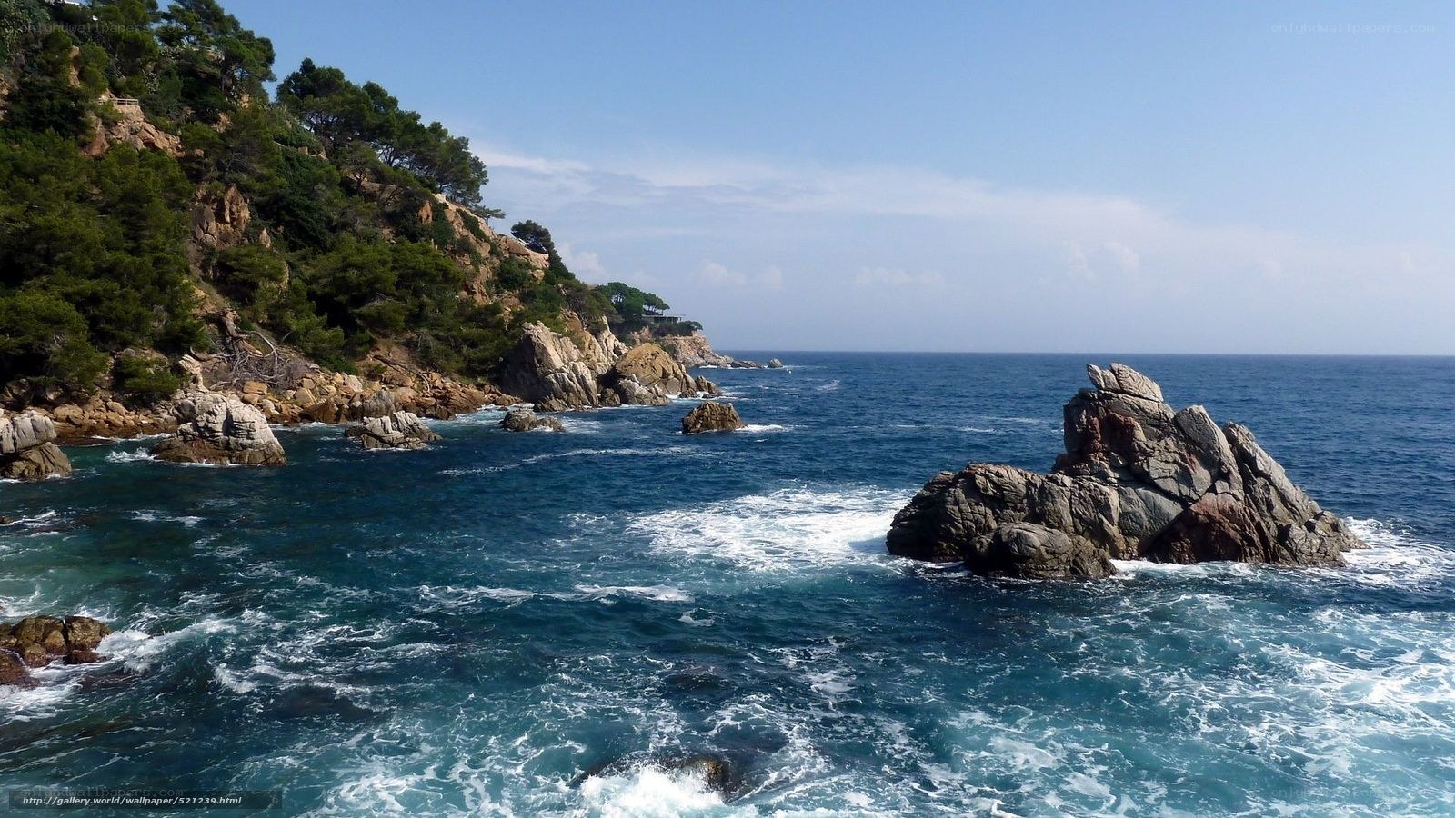 coastal rocks and sea