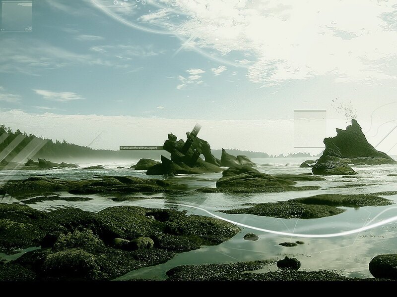coastal rocks and sea