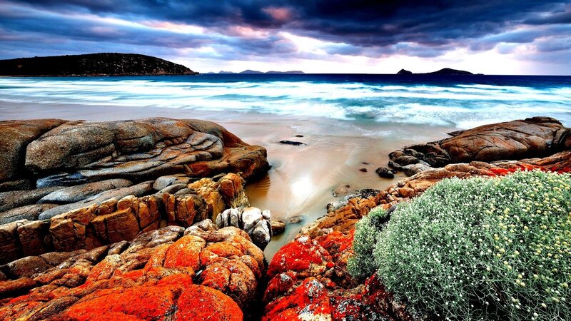 Coastal Rocks and Sea — Blue, Dramatic, Sunset