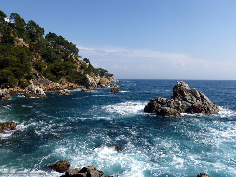 Coastal Rocks and Sea — Blue, Serene, Afternoon, Photograph, Trees