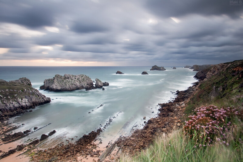 Coastal Rocks and Sea — Gray