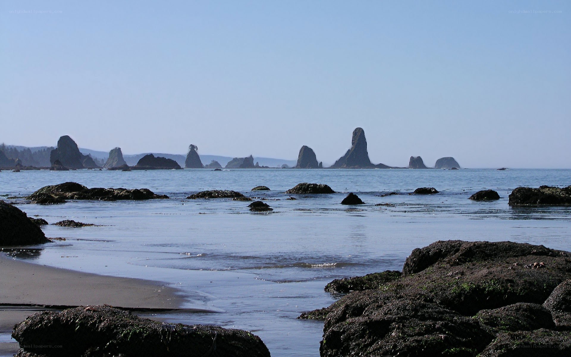coastal rocks and sea stacks