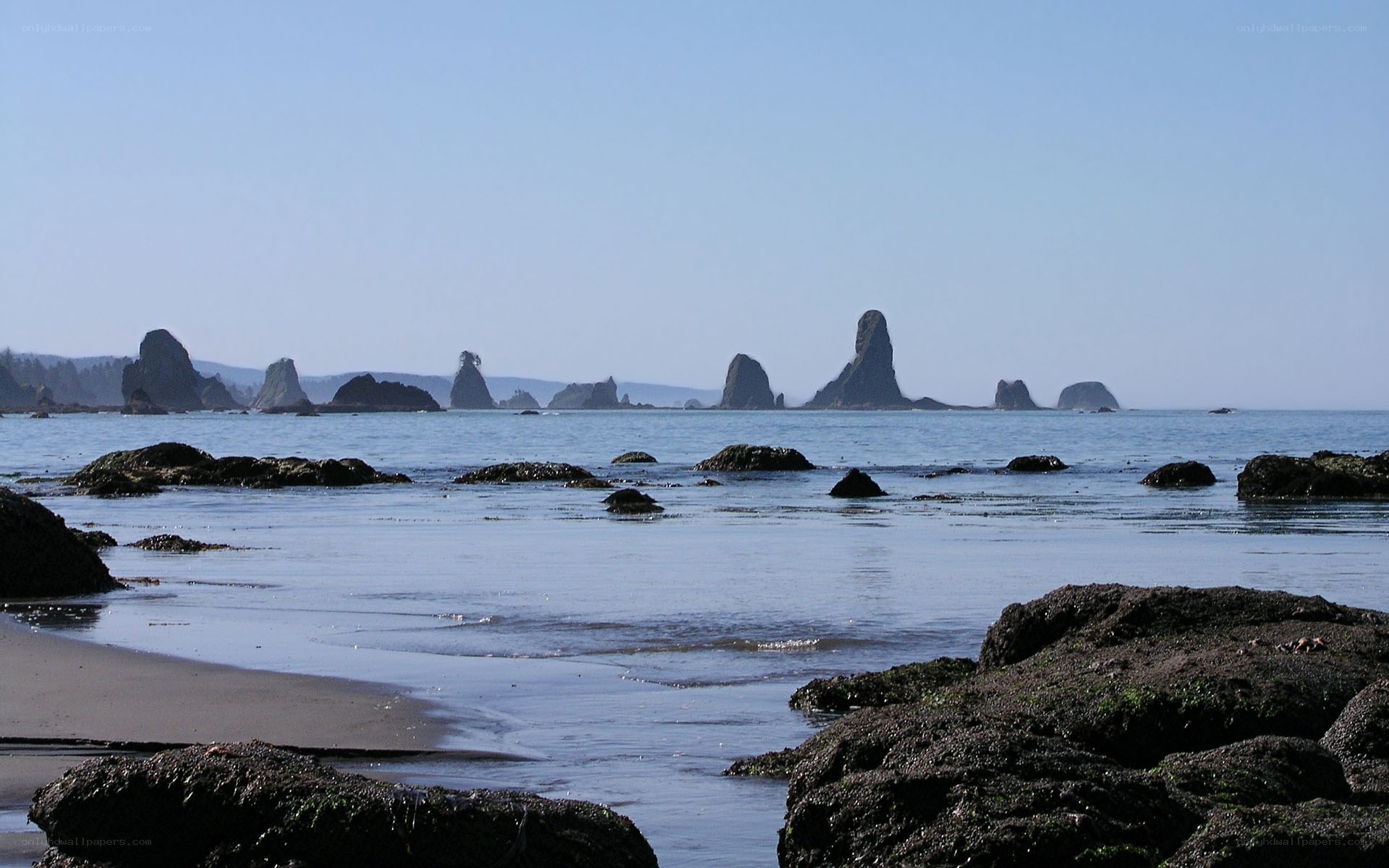 coastal rocks and sea stacks