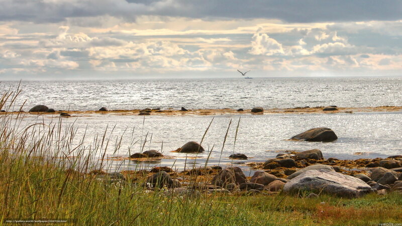 Coastal rocks and sea