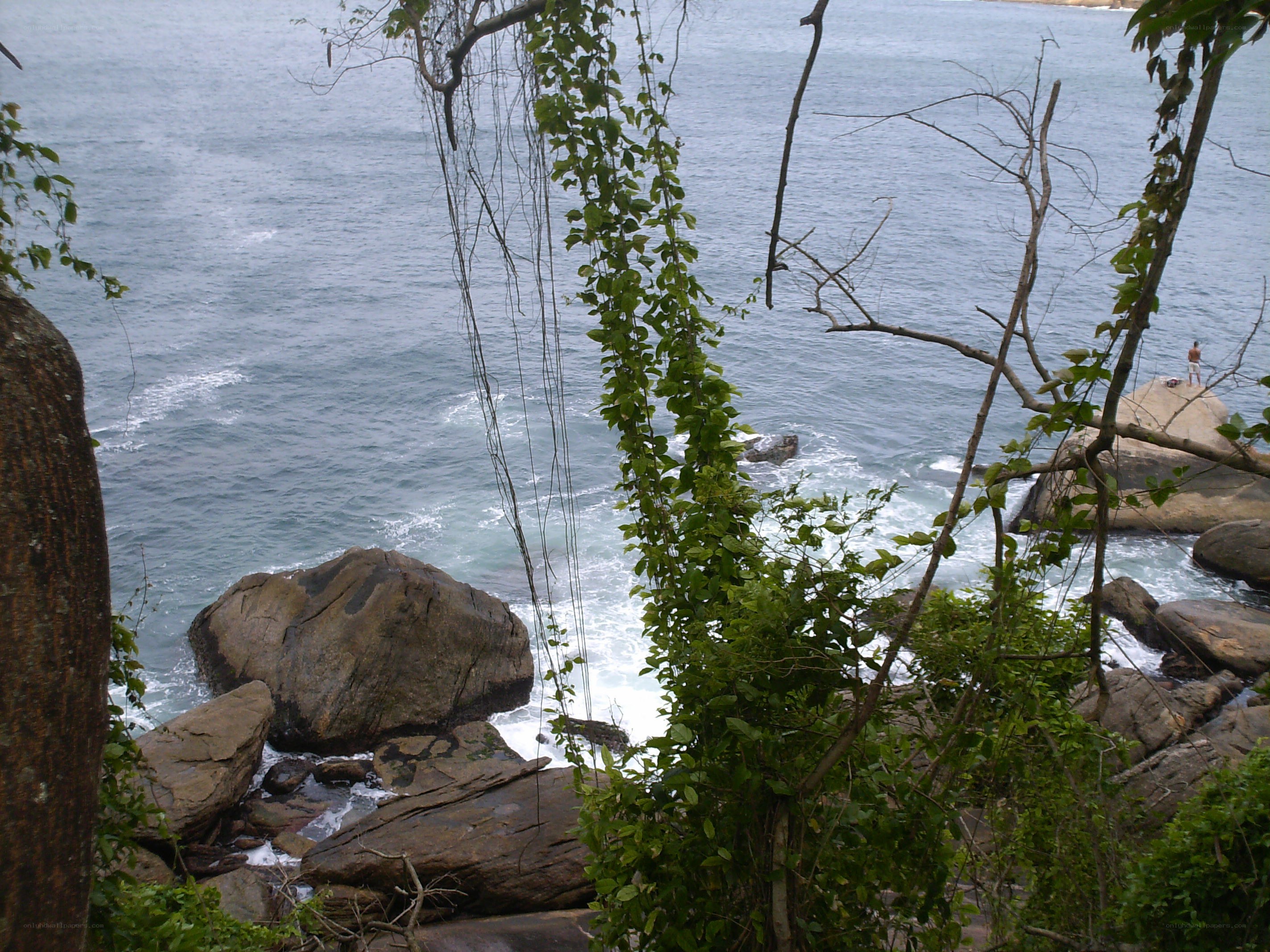 coastal rocks and sea view