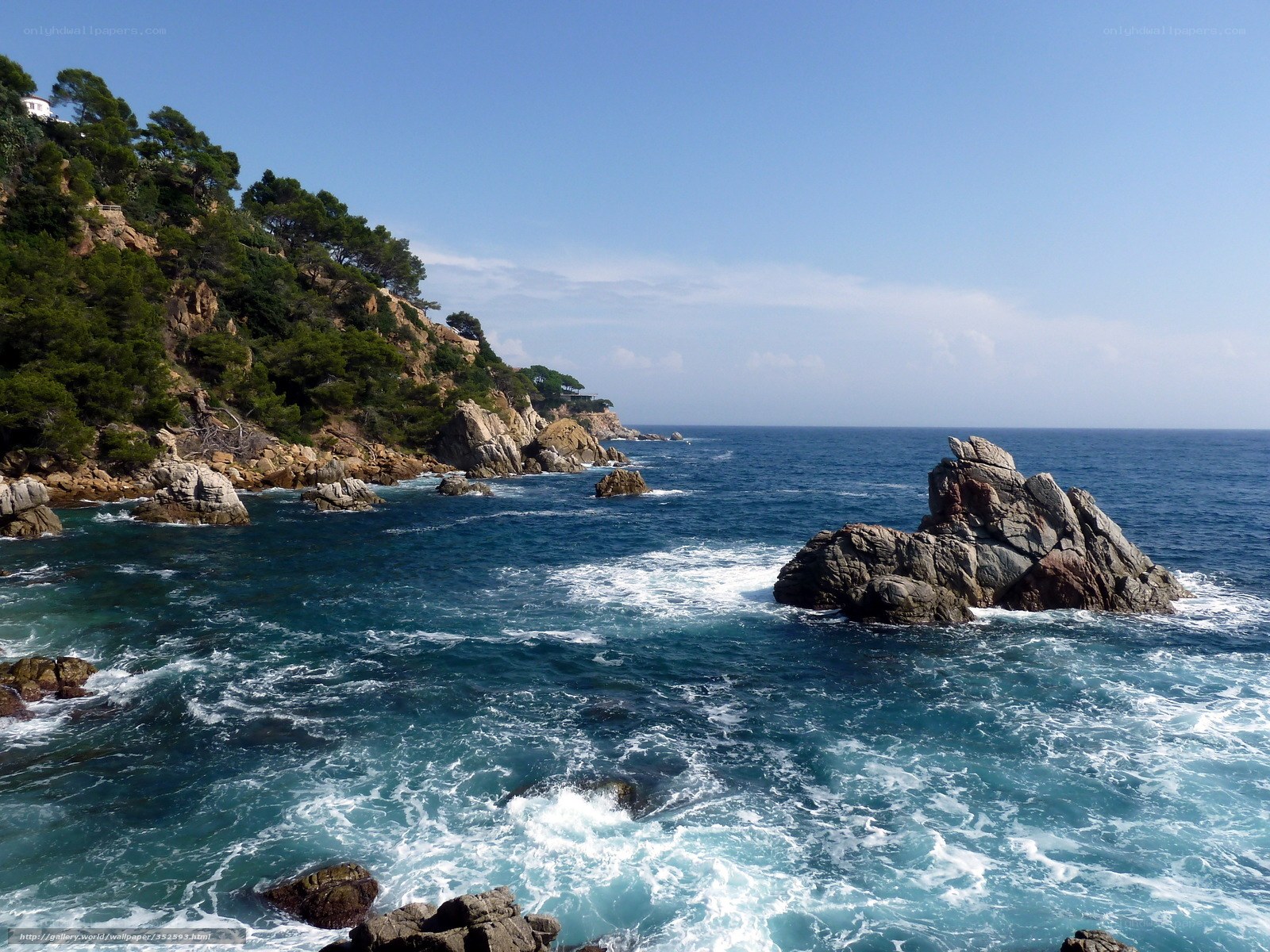 coastal rocks and sea waves