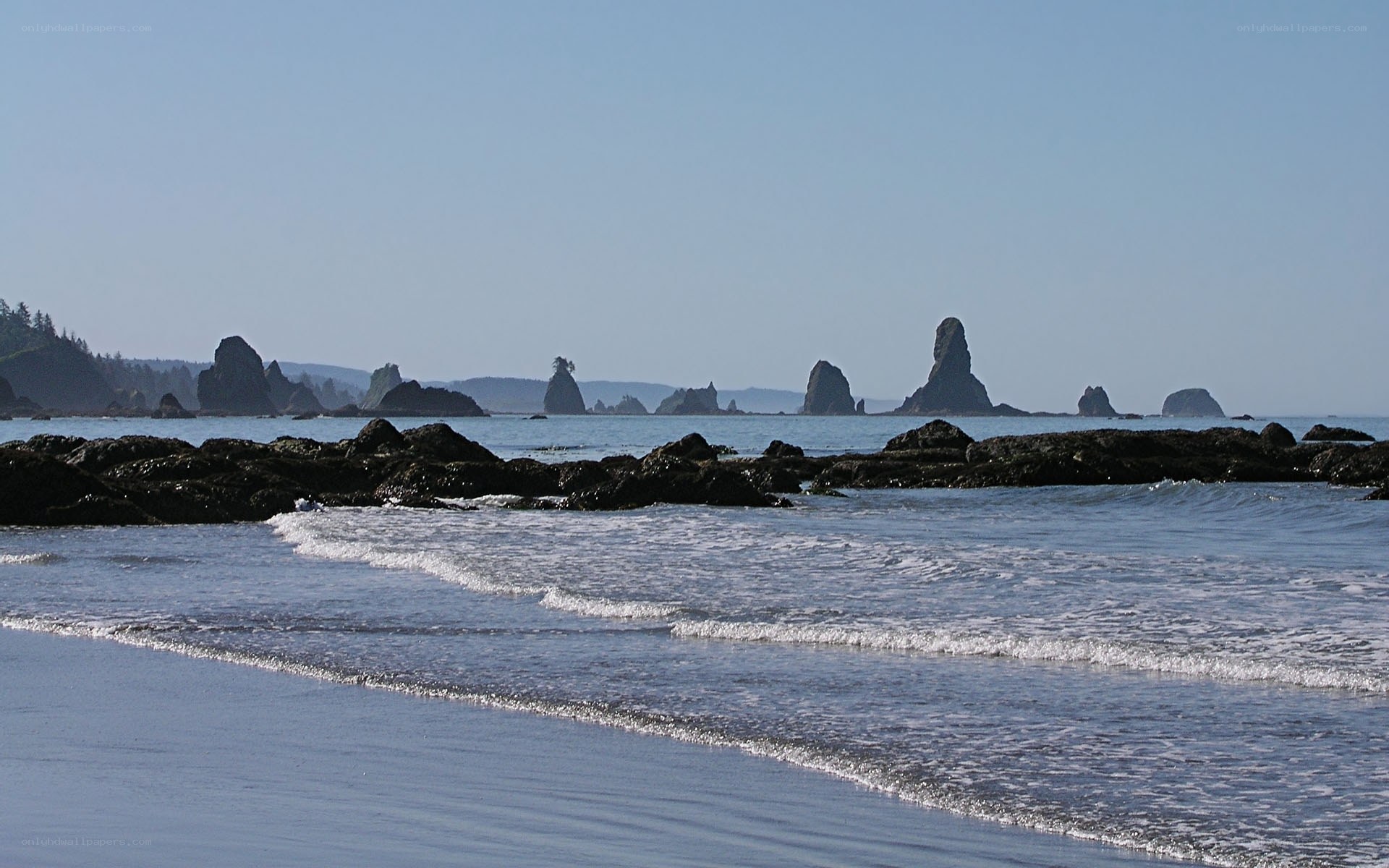 coastal rocks and sea waves