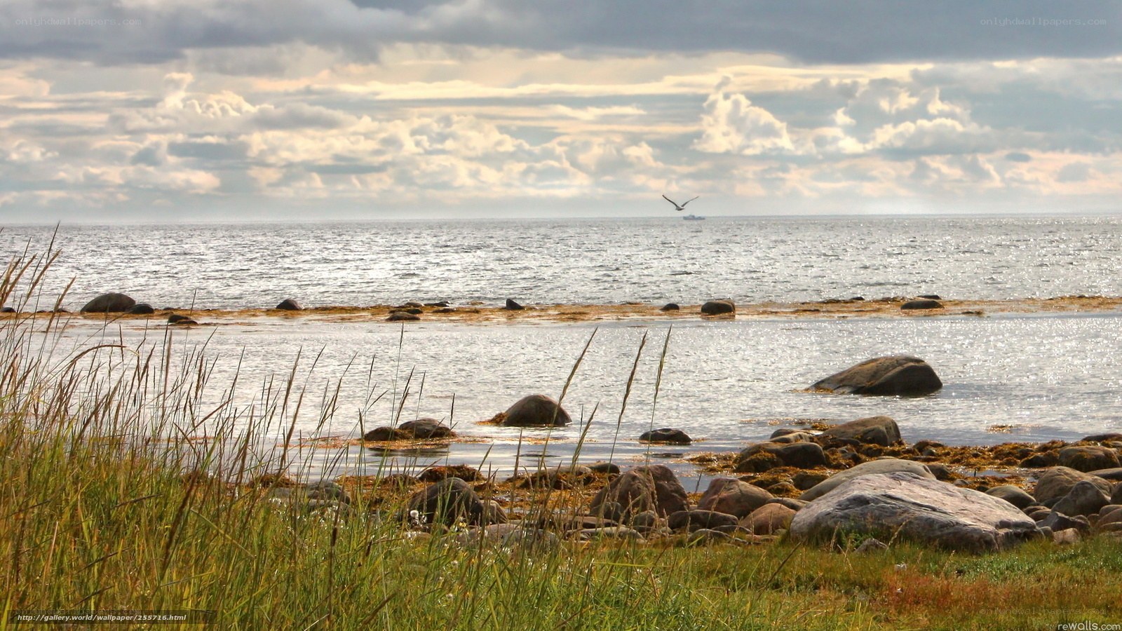 Coastal rocks and sea