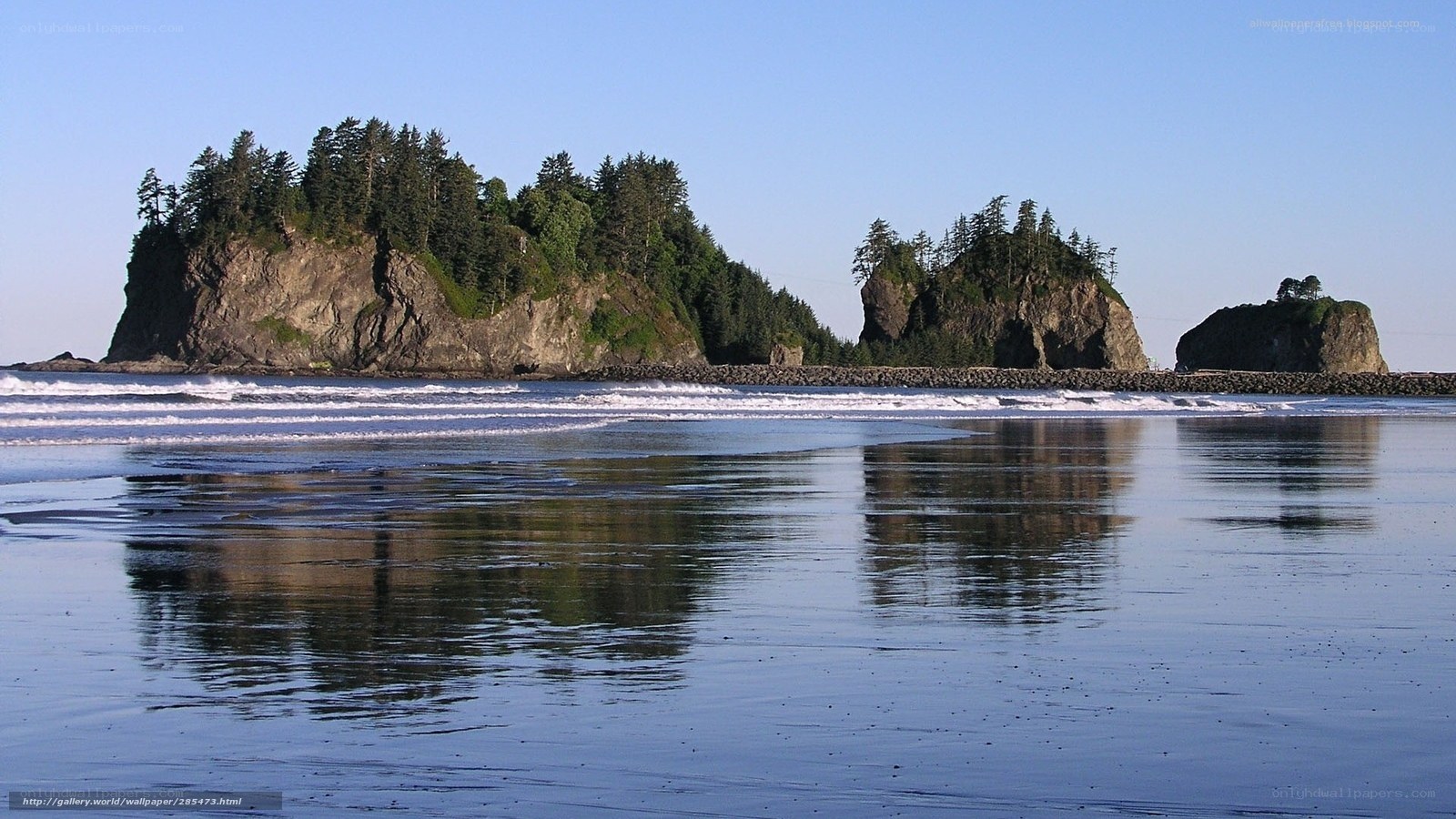 coastal rocks and tide pools
