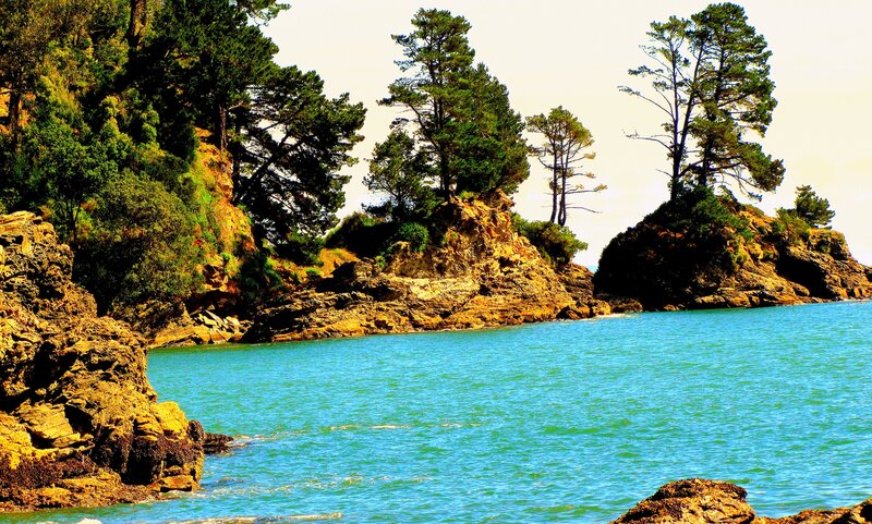 Coastal Rocks and Trees