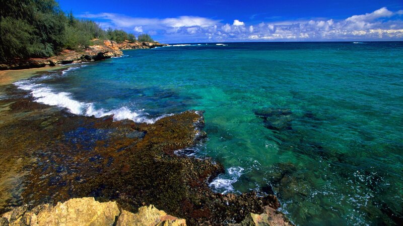 coastal rocks and turquoise water